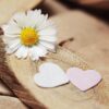 daisy, heart, sweetheart, thank you, love, romantic, romance, symbol, white, affection, emotion, feelings, in love, decoration, happiness, deco, decorative, in measure love, a thousand beautiful, m p, korblütler, bellis perennis, wood, wooden slices, thank you, thank you, thank you, thank you, thank you