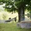 tree, hammocks, trees, grass, summer, relaxation, resort, holiday, tranquil, outdoor, peaceful, rest, sleep, break, leaves, country, rural, relaxing, chill, nature, relax, resort, peaceful, rest, rest, sleep, sleep, sleep, sleep, sleep, break, break, country, relaxing, relaxing, relaxing, chill, chill, chill, chill, relax, relax, relax