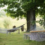 tree, hammocks, trees, grass, summer, relaxation, resort, holiday, tranquil, outdoor, peaceful, rest, sleep, break, leaves, country, rural, relaxing, chill, nature, relax, resort, peaceful, rest, rest, sleep, sleep, sleep, sleep, sleep, break, break, country, relaxing, relaxing, relaxing, chill, chill, chill, chill, relax, relax, relax