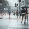 couple, pedestrian, rain, raining, relationship, together, street, nature, outdoors